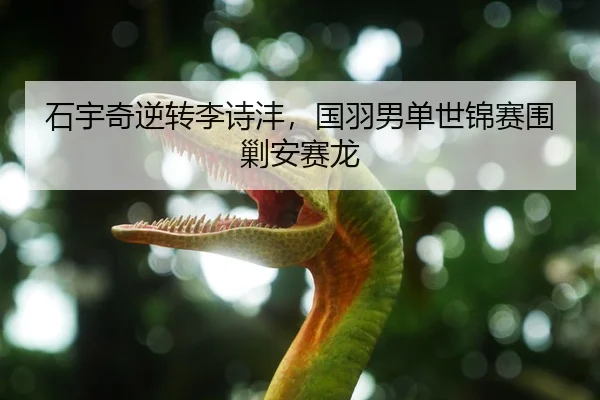 石宇奇逆转李诗沣，国羽男单世锦赛围剿安赛龙