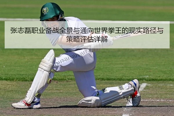 张志磊职业备战全景与通向世界拳王的现实路径与策略评估详解